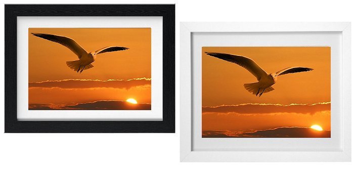 Select Your Frame